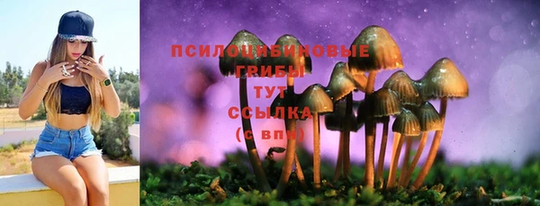прущие грибы Нягань