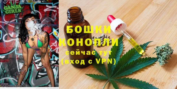прущие грибы Нягань