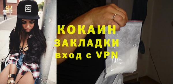 прущие грибы Нягань