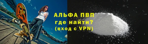 прущие грибы Нягань