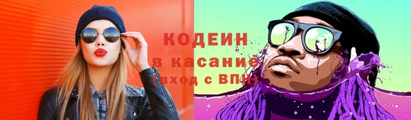 прущие грибы Нягань