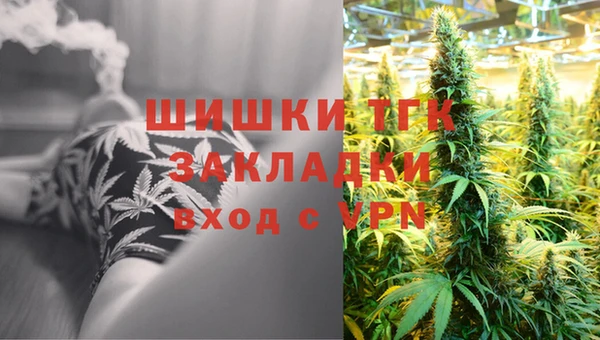 прущие грибы Нягань