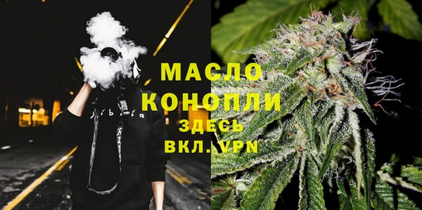 прущие грибы Нягань