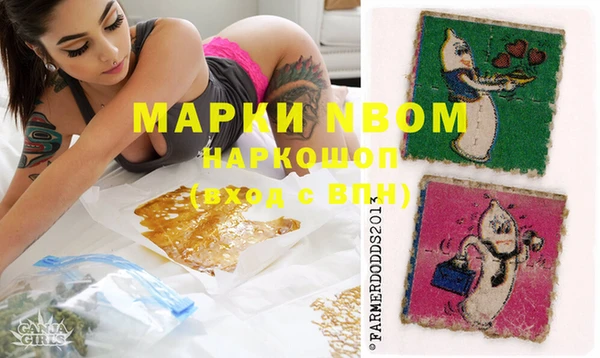 прущие грибы Нягань