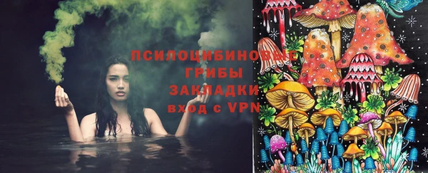 прущие грибы Нягань