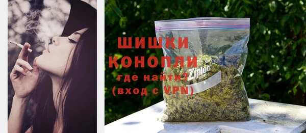 прущие грибы Нягань