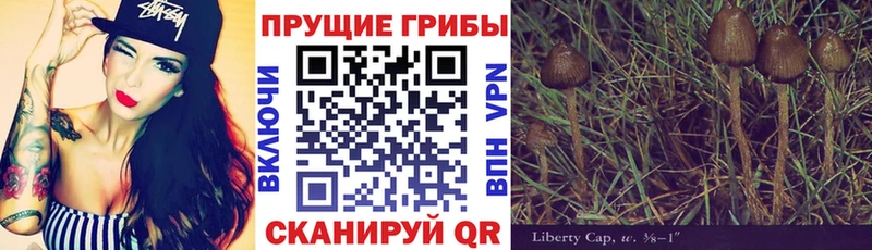 Псилоцибиновые грибы Psilocybe  где купить наркоту  Артёмовск 